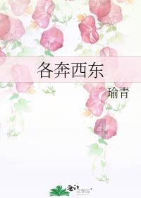 哈哈电竞